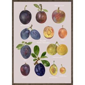PLUMS - KUNSTPRINT - VÆLG STØRRELSE