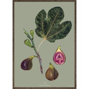 GREEN FIG - KUNSTPRINT - VÆLG STØRRELSE