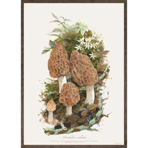 MORKEL - KUNSTPRINT - VÆLG STØRRELSE